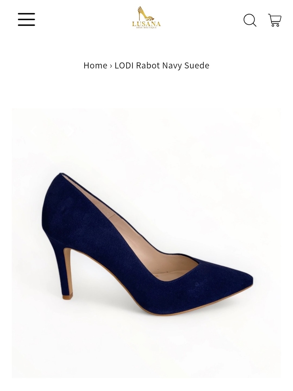 LODI Navy Suede Pointed-Toe Pump by